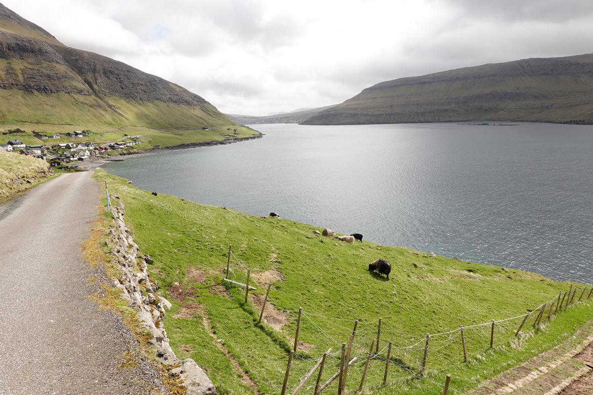 Mon voyage au village de Bøur sur l’île Vágar des Îles Féroé