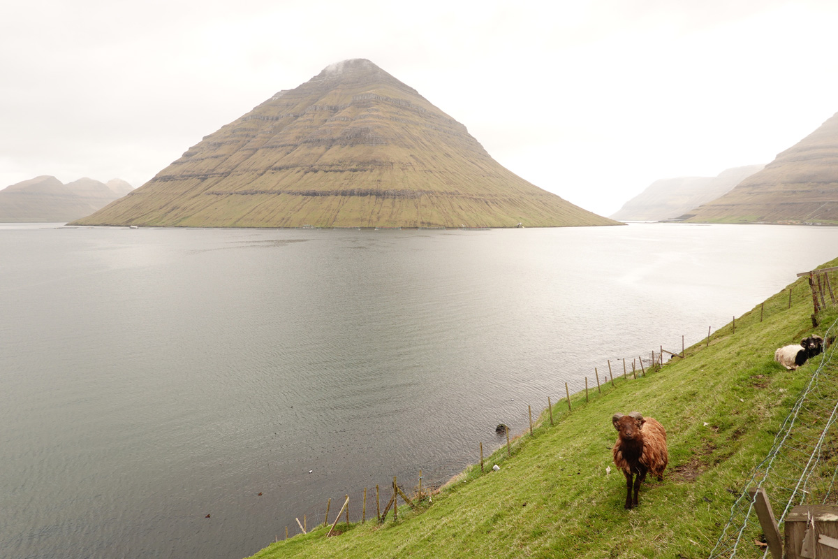 Mon voyage à Klaksvík sur l’île de Borðoy des Îles Féroé