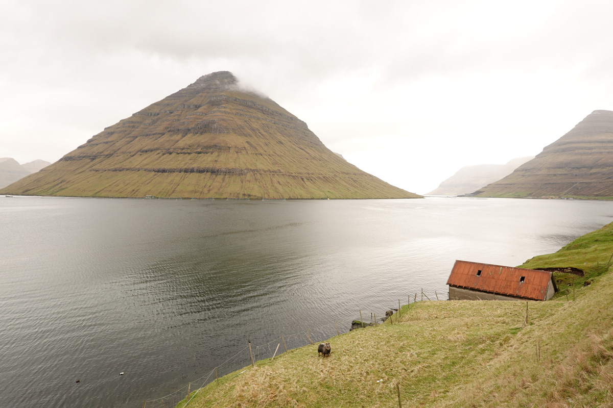 Mon voyage à Klaksvík sur l’île de Borðoy des Îles Féroé