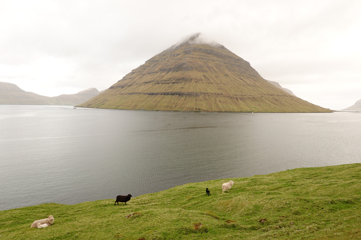 Mon voyage à Klaksvík sur l’île de Borðoy des Îles Féroé