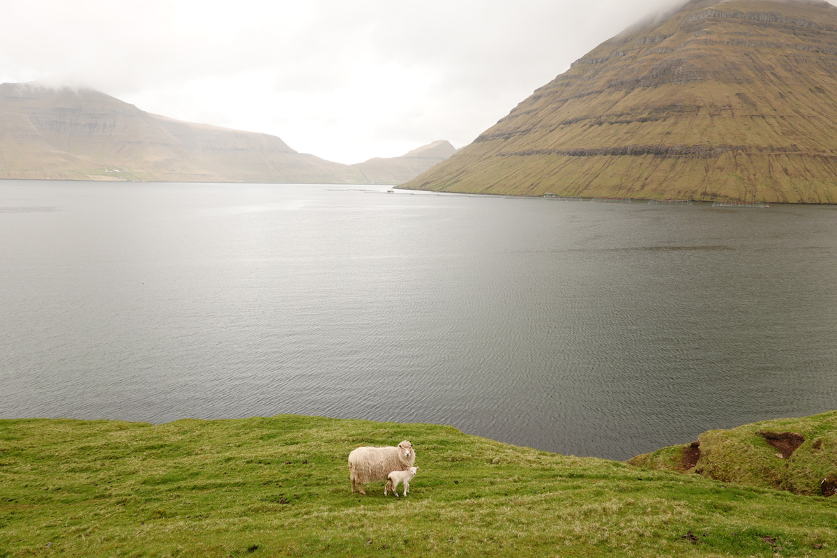 Mon voyage à Klaksvík sur l’île de Borðoy des Îles Féroé