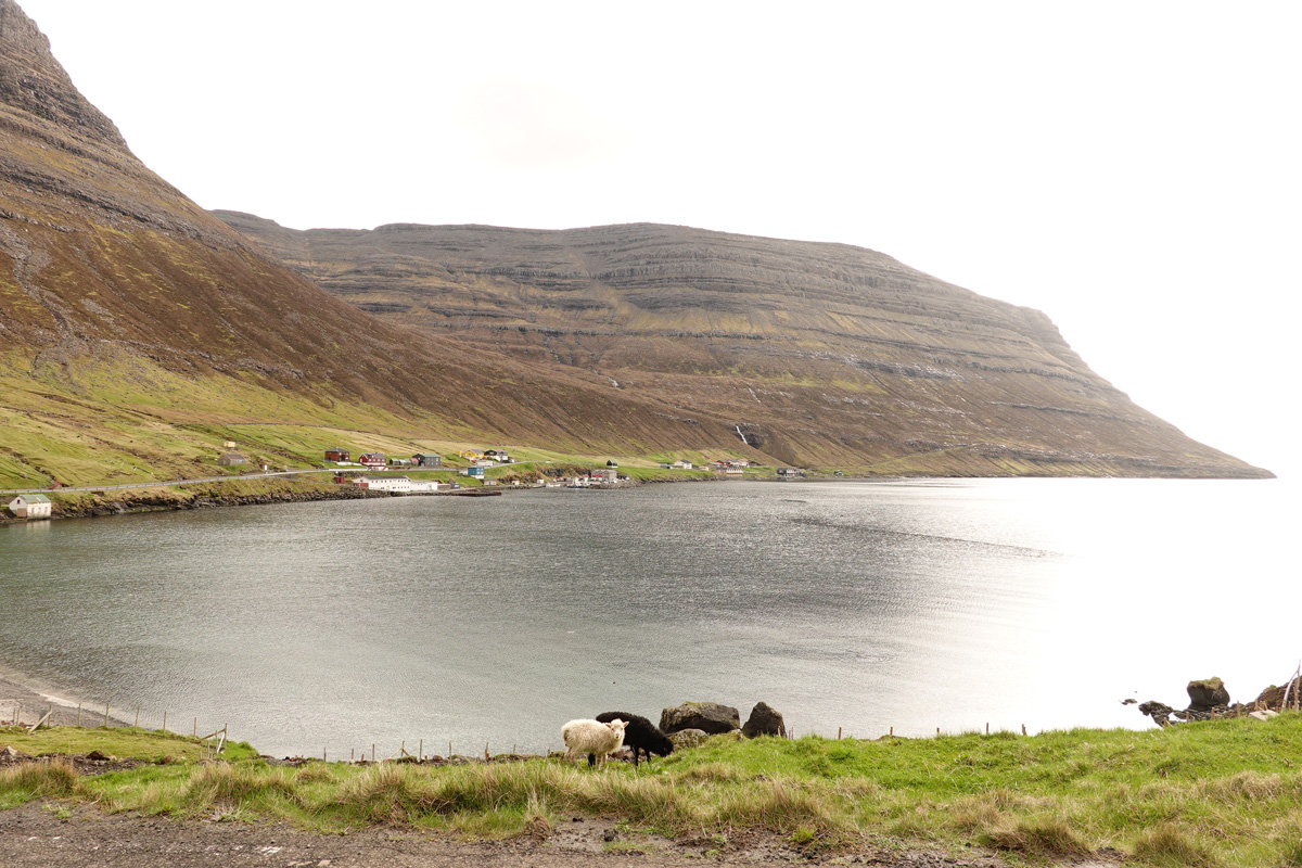 Mon voyage à Arnarfjörður sur l’île de Borðoy des Îles Féroé