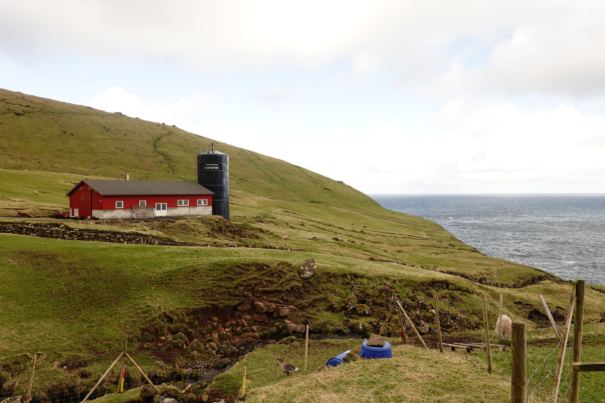 Mon voyage à Trøllanes sur l’île de Kalsoy des Îles Féroé