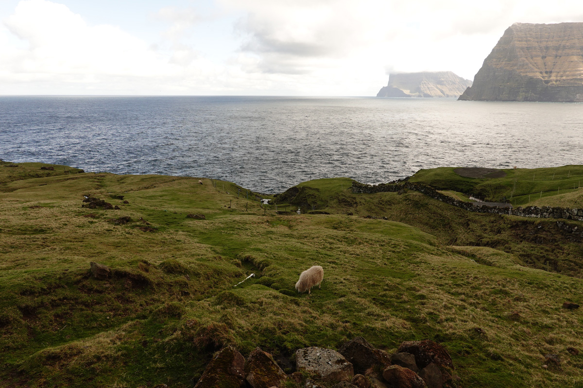 Mon voyage à Trøllanes sur l’île de Kalsoy des Îles Féroé