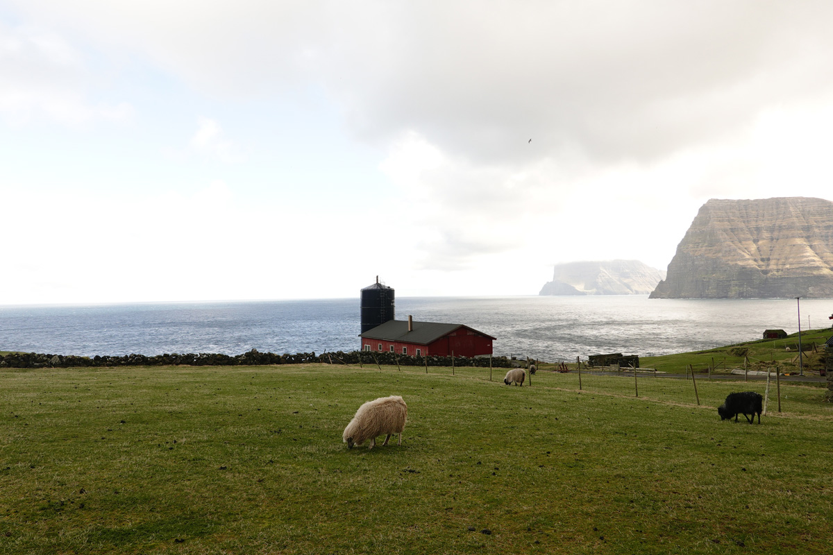 Mon voyage à Trøllanes sur l’île de Kalsoy des Îles Féroé