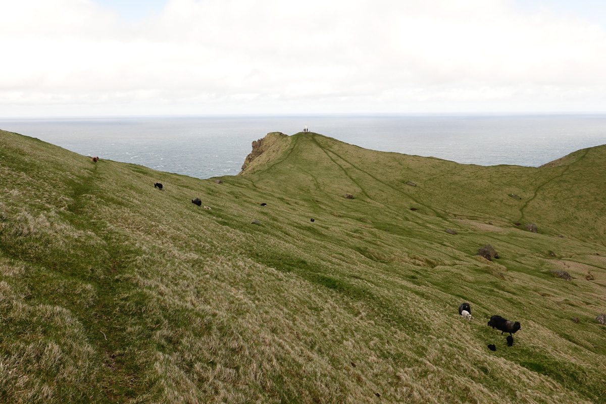 Mon voyage au Phare de Kallur sur l’île de Kalsoy des Îles Féroé