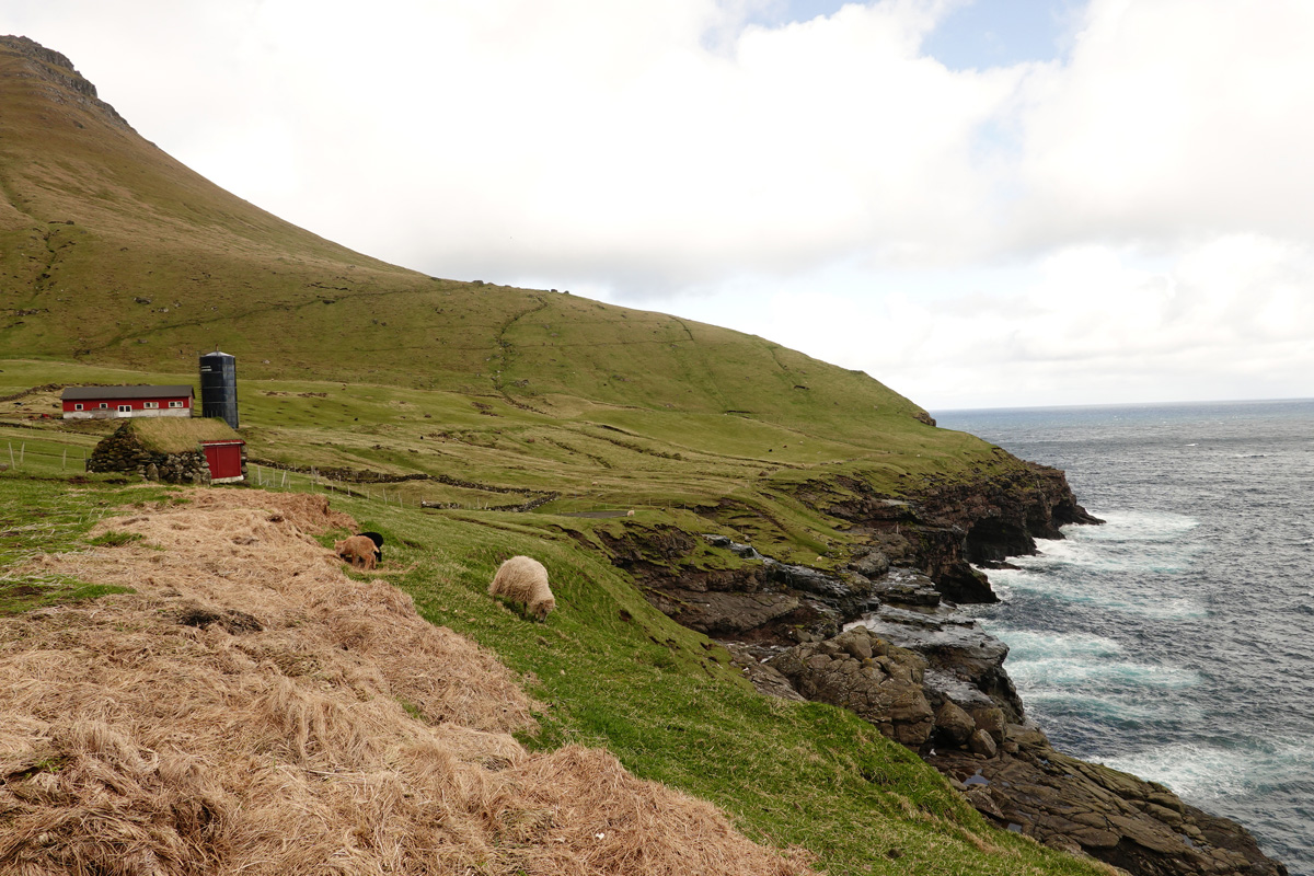 Mon voyage à Trøllanes sur l’île de Kalsoy des Îles Féroé