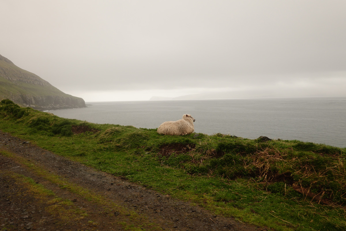 Mon voyage à Kirkjubøur sur l’île de Streymoy des Îles Féroé