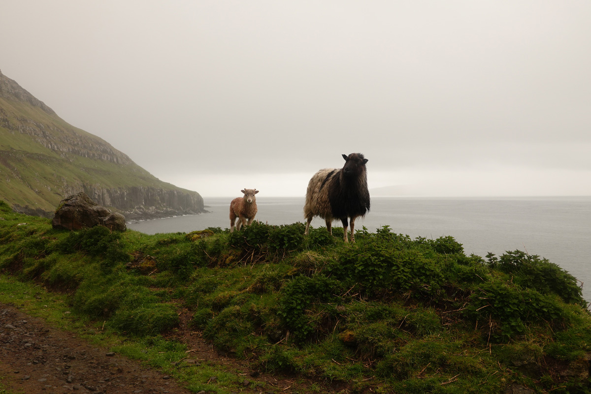 Mon voyage à Kirkjubøur sur l’île de Streymoy des Îles Féroé