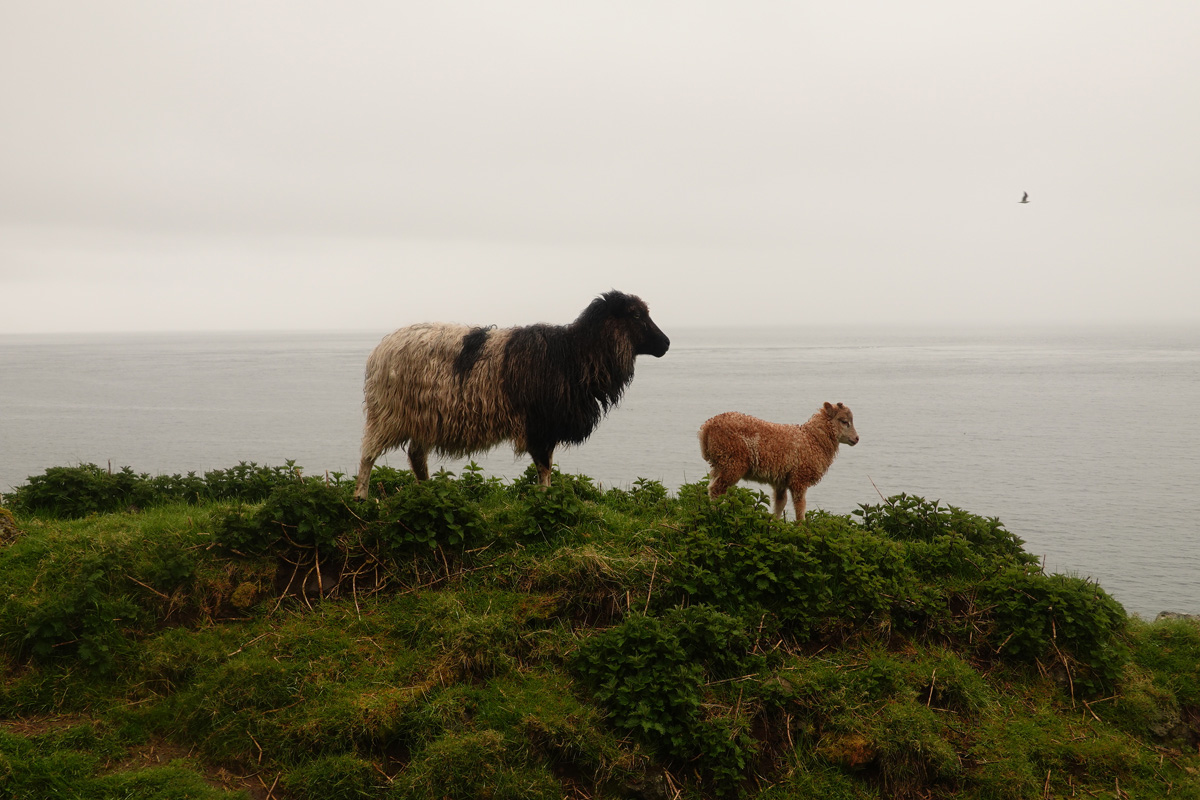 Mon voyage à Kirkjubøur sur l’île de Streymoy des Îles Féroé