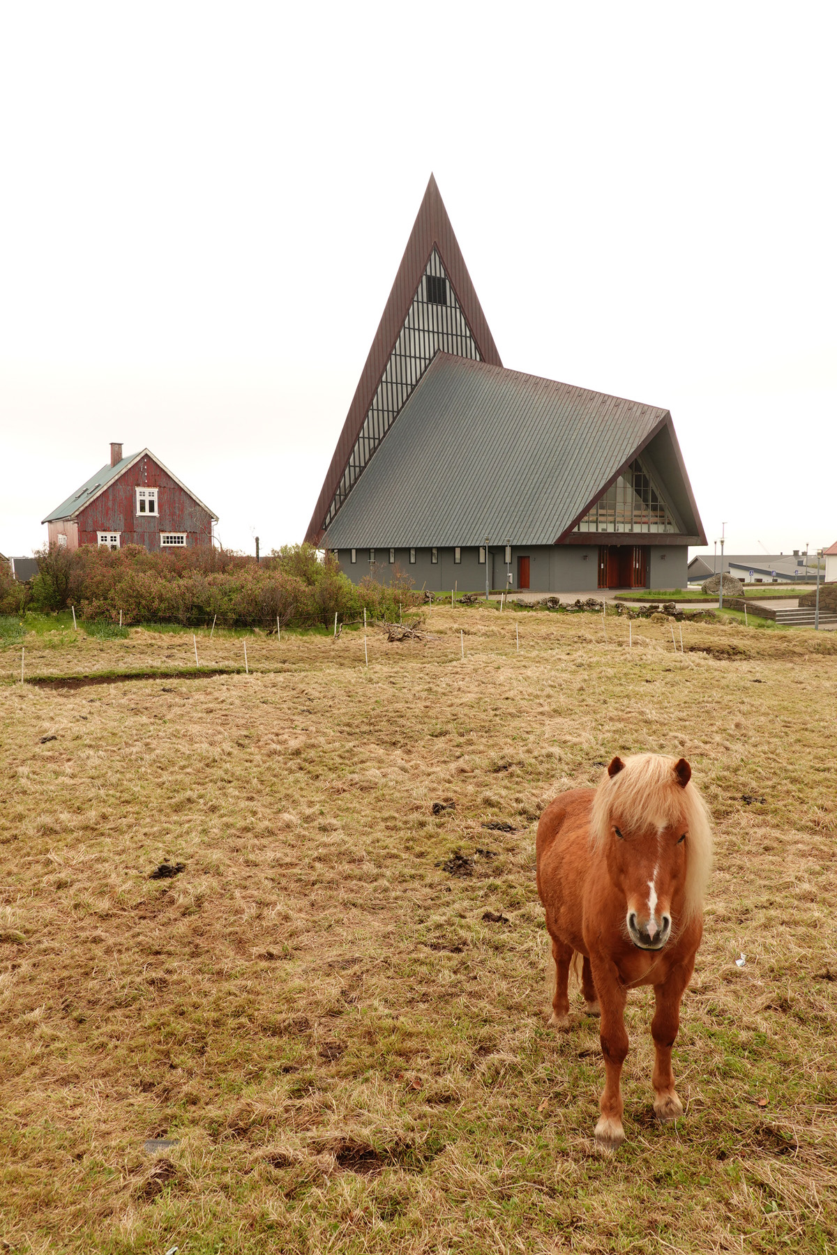 Mon voyage à Tórshavn sur l’île de Streymoy des Îles Féroé