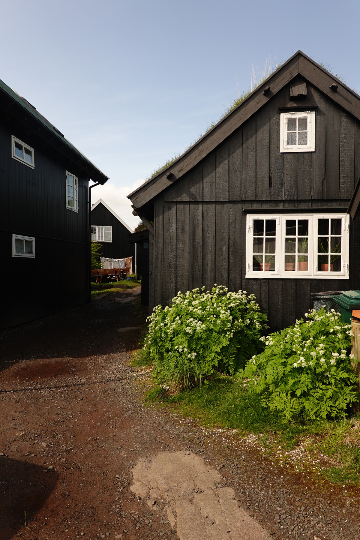 Mon voyage à Tórshavn sur l’île de Streymoy des Îles Féroé