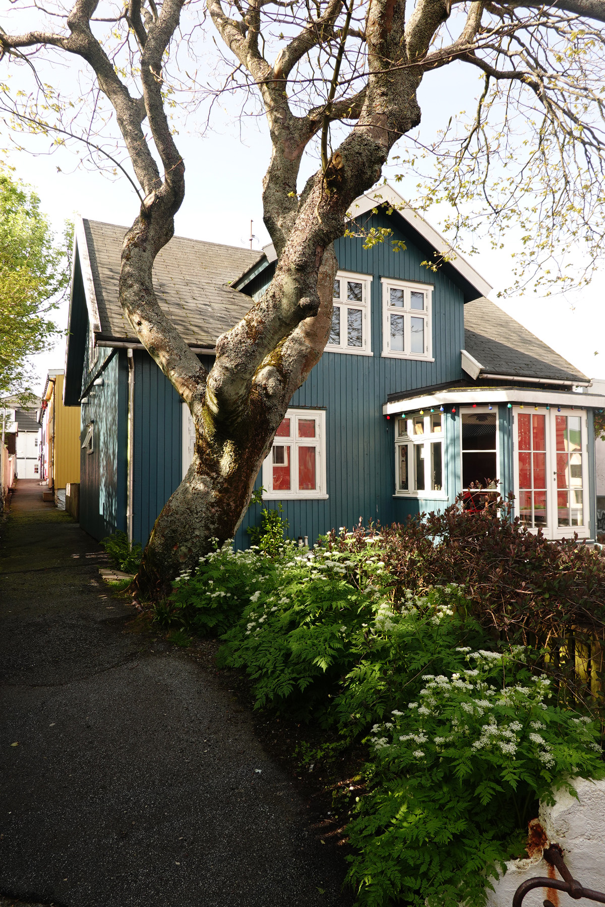 Mon voyage à Tórshavn sur l’île de Streymoy des Îles Féroé