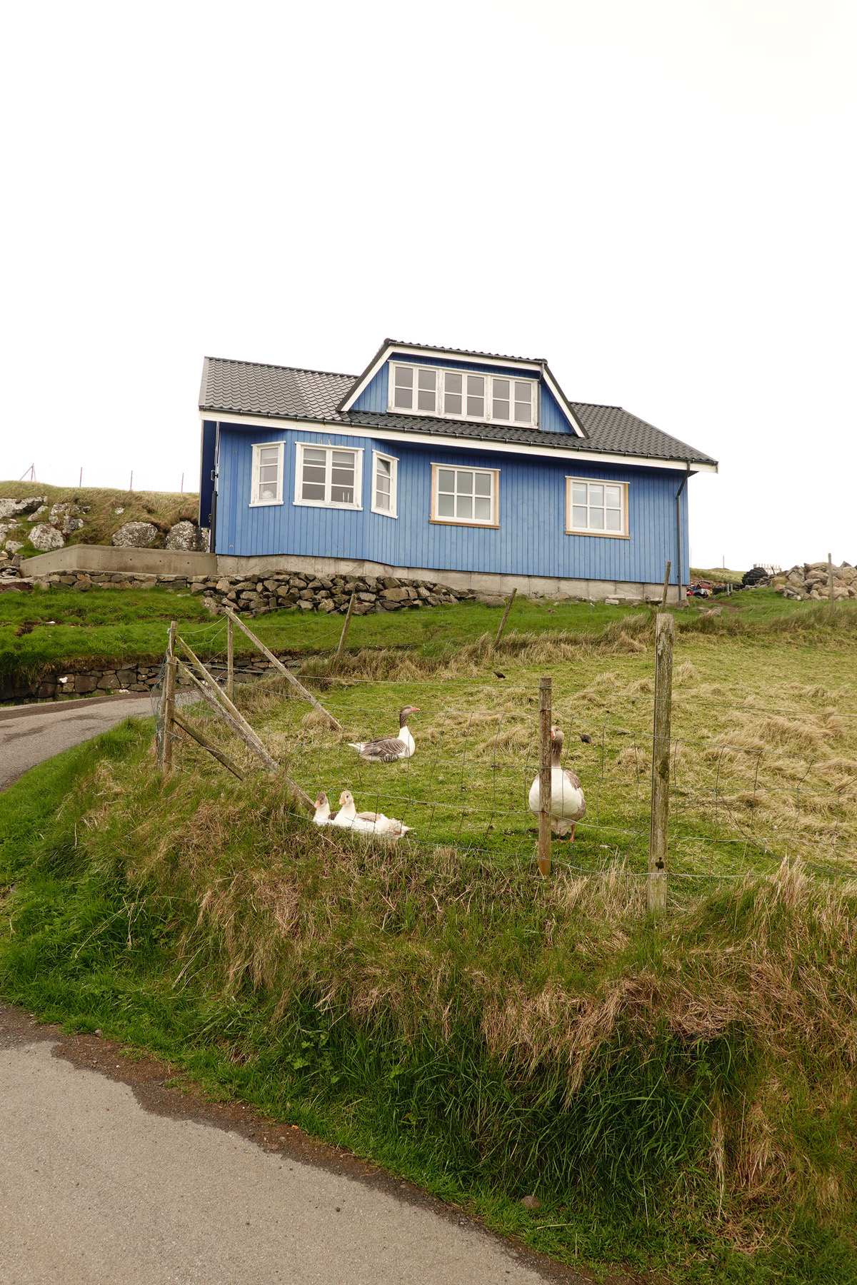 Mon voyage sur l’île de Nólsoy des Îles Féroé