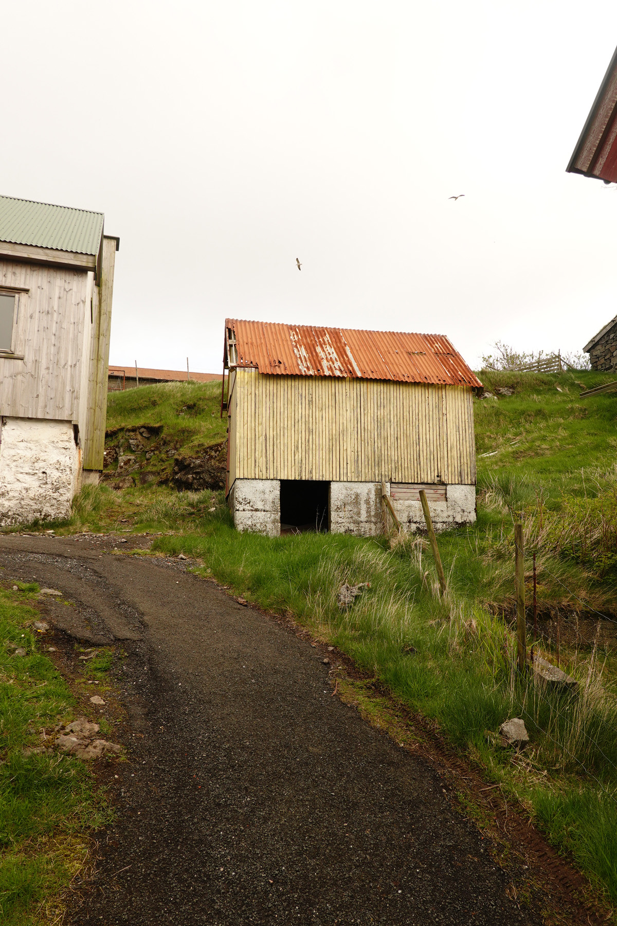 Mon voyage sur l’île de Nólsoy des Îles Féroé