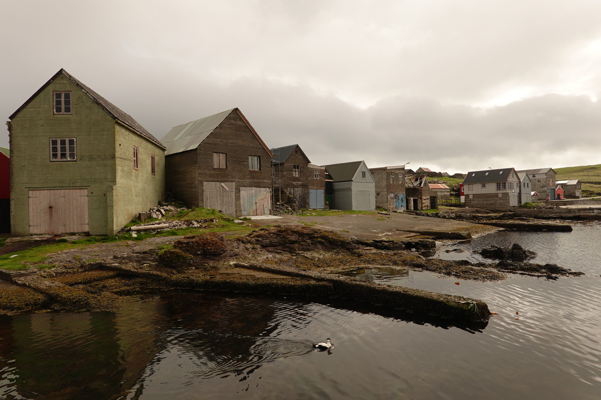 Mon voyage sur l’île de Nólsoy des Îles Féroé