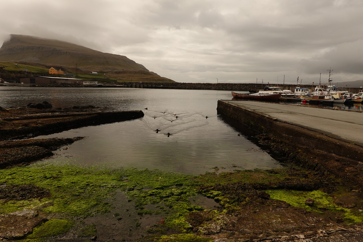 Mon voyage sur l’île de Nólsoy des Îles Féroé