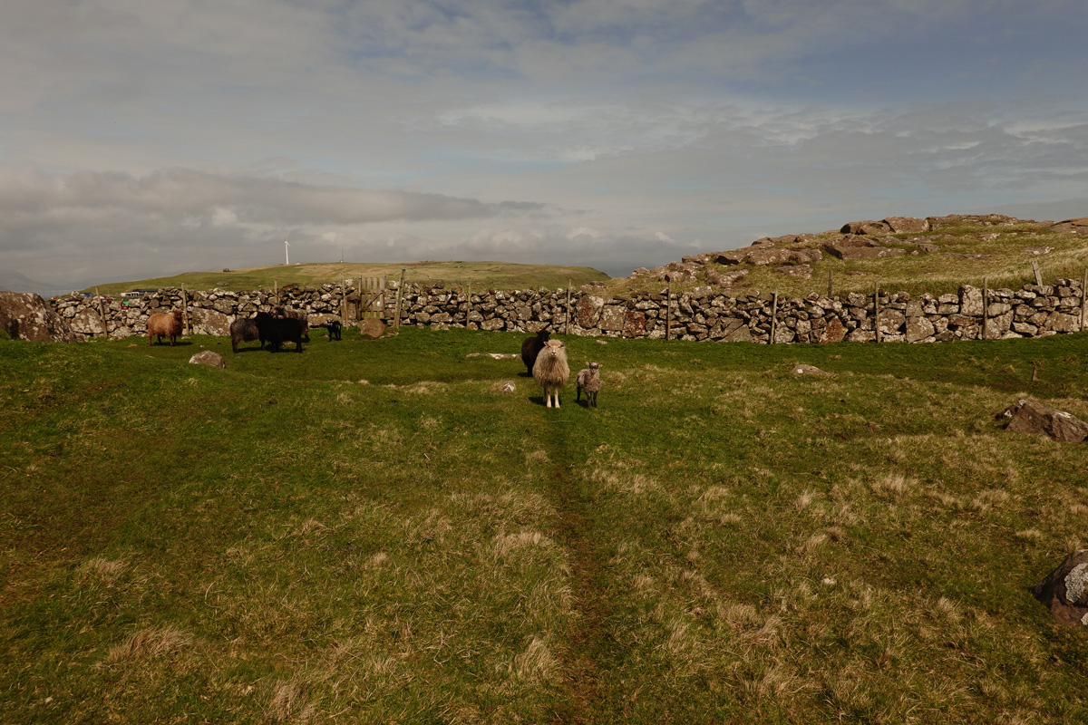 Mon voyage sur l’île de Nólsoy des Îles Féroé