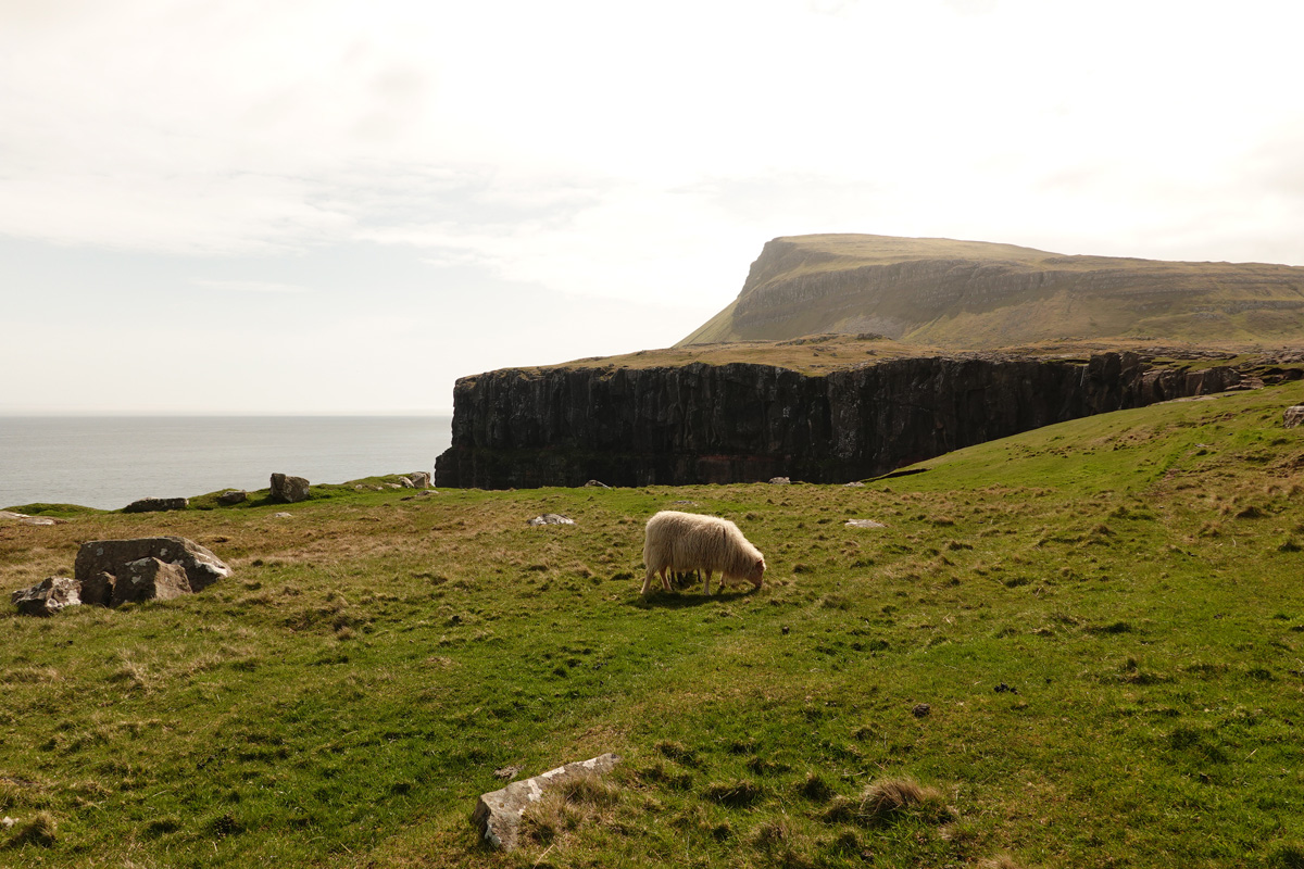 Mon voyage sur l’île de Nólsoy des Îles Féroé