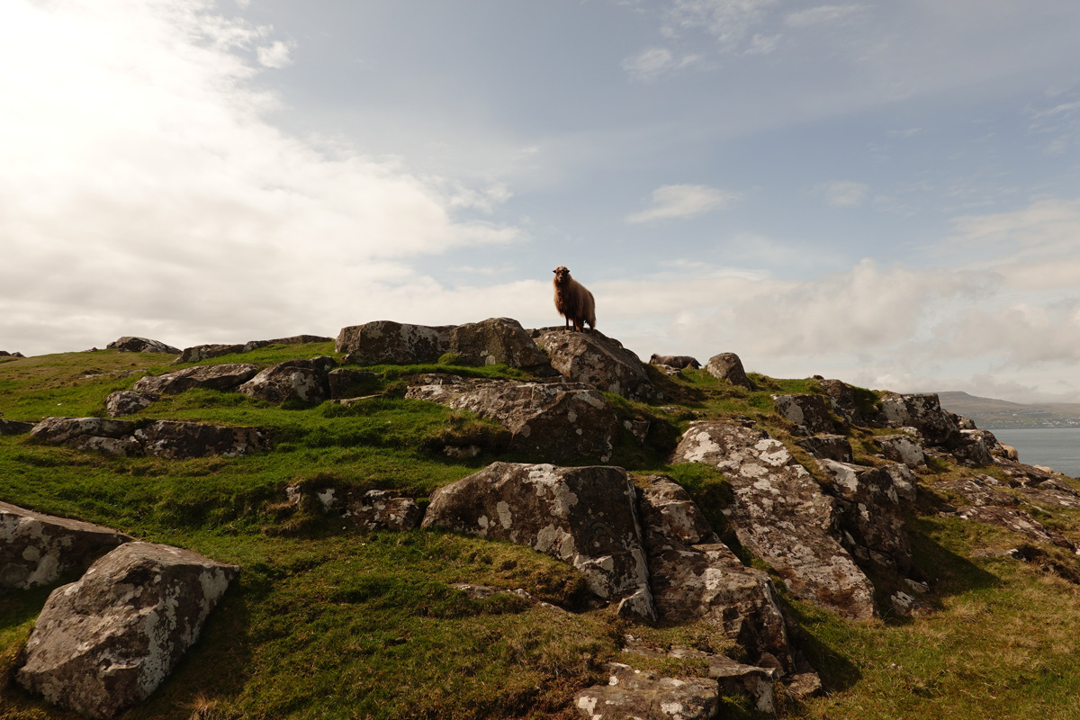 Mon voyage sur l’île de Nólsoy des Îles Féroé