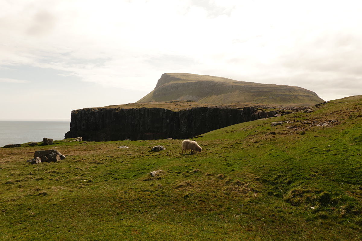 Mon voyage sur l’île de Nólsoy des Îles Féroé