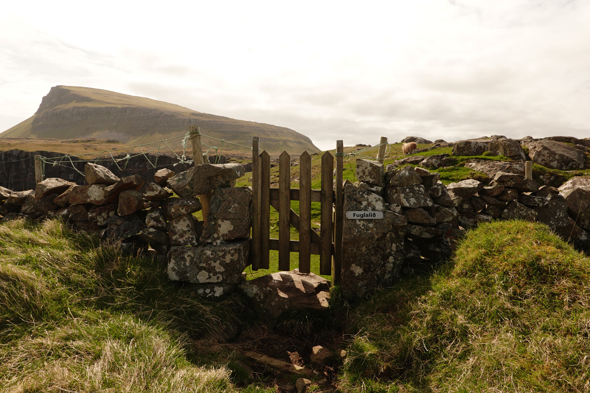 Mon voyage sur l’île de Nólsoy des Îles Féroé