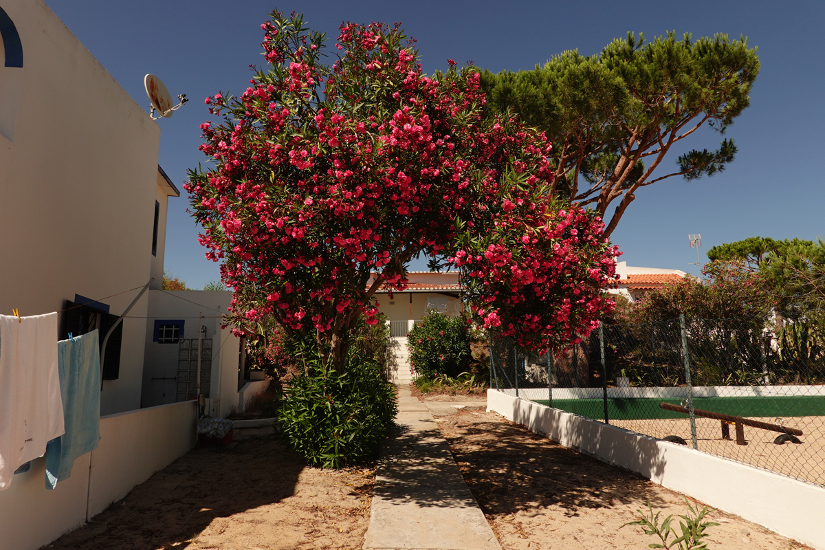 Mon voyage sur l'île d’Armona au Portugal