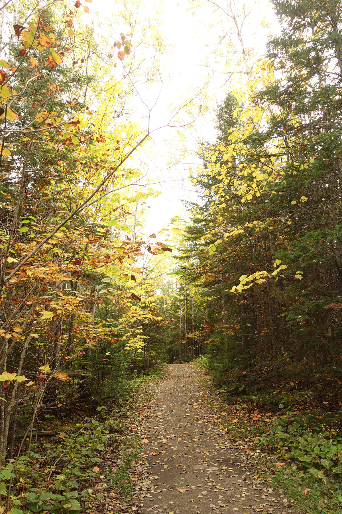 Mon voyage à Pointe-au-Pic au Canada