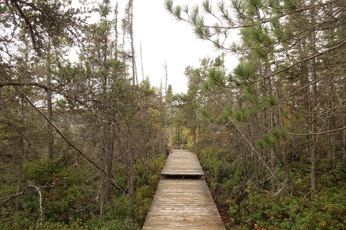 Mon voyage à Tadoussac au Canada