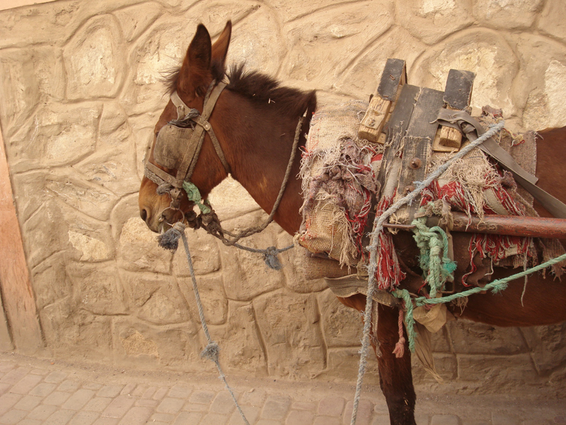 Mon voyage au Maroc Marrakech