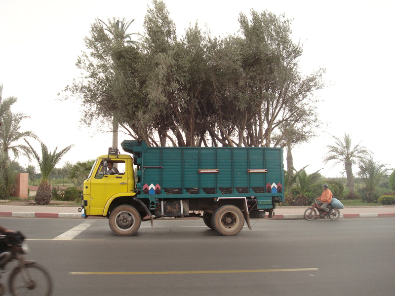 Mon voyage au Maroc Marrakech