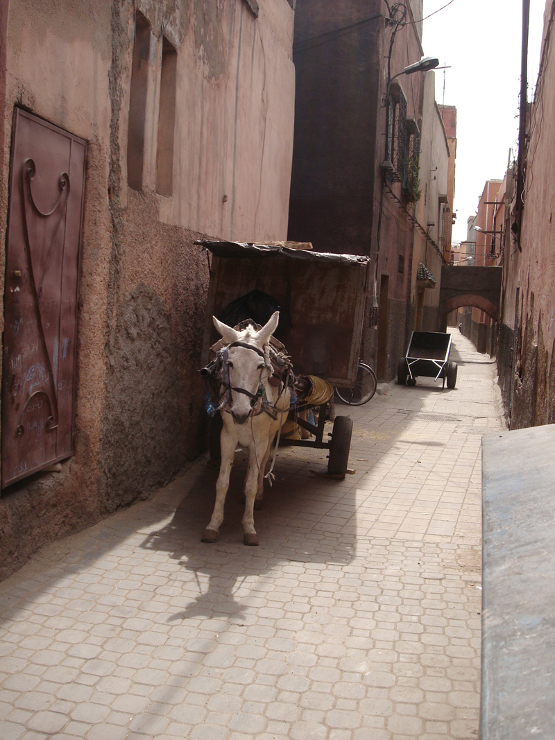 Mon voyage au Maroc Marrakech