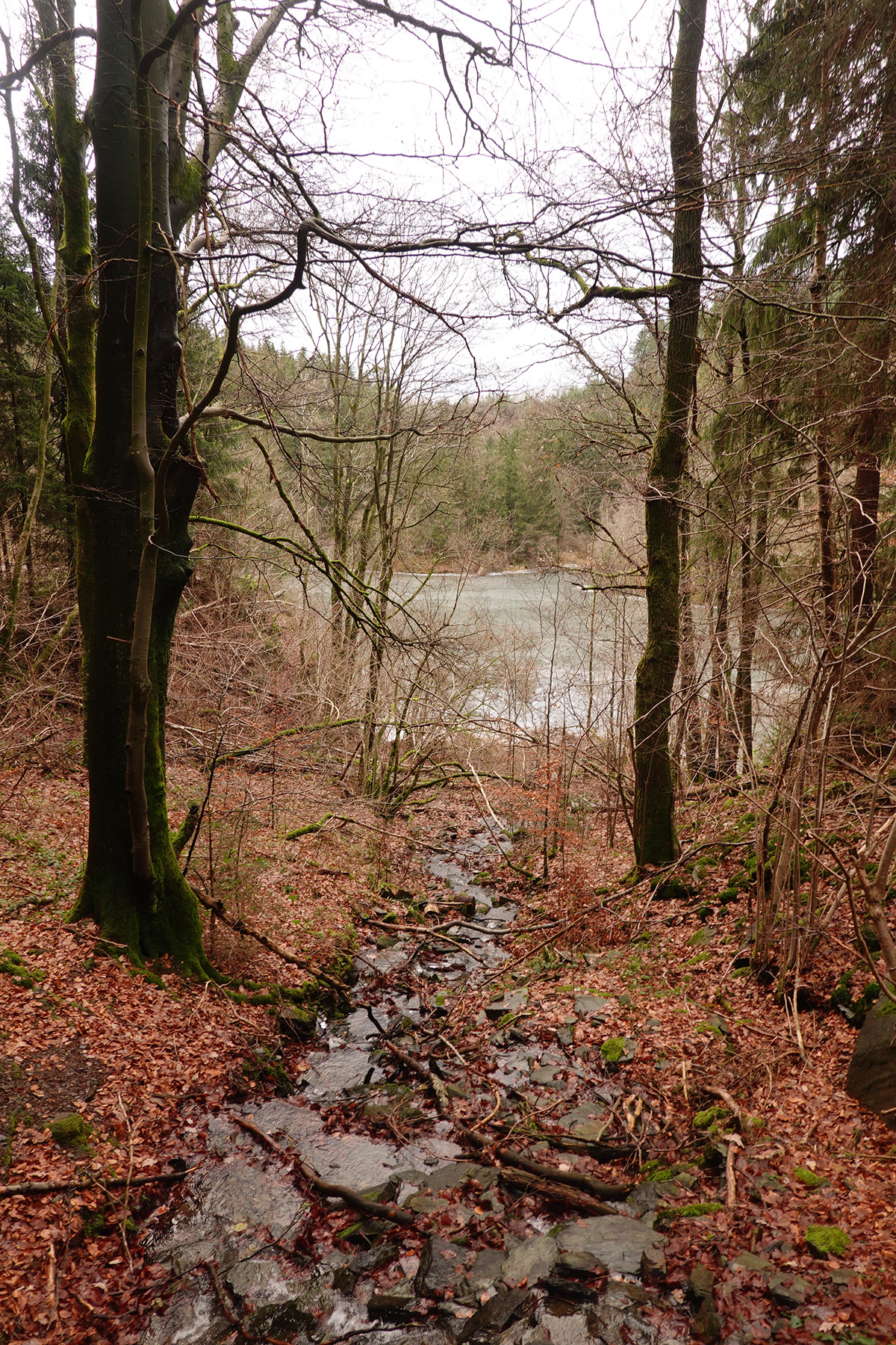 Mon voyage à Monschau / Montjoie en Allemagne