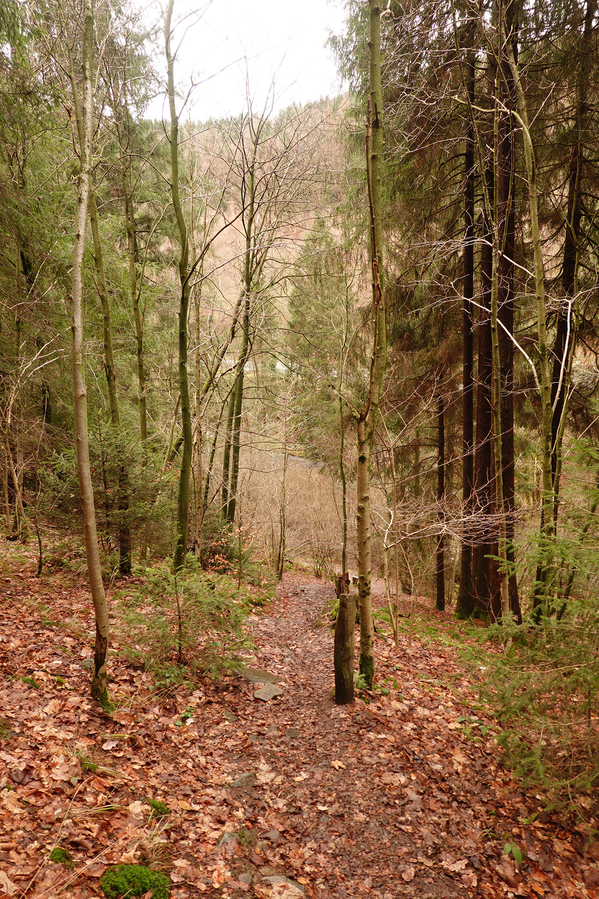 Mon voyage à Monschau / Montjoie en Allemagne