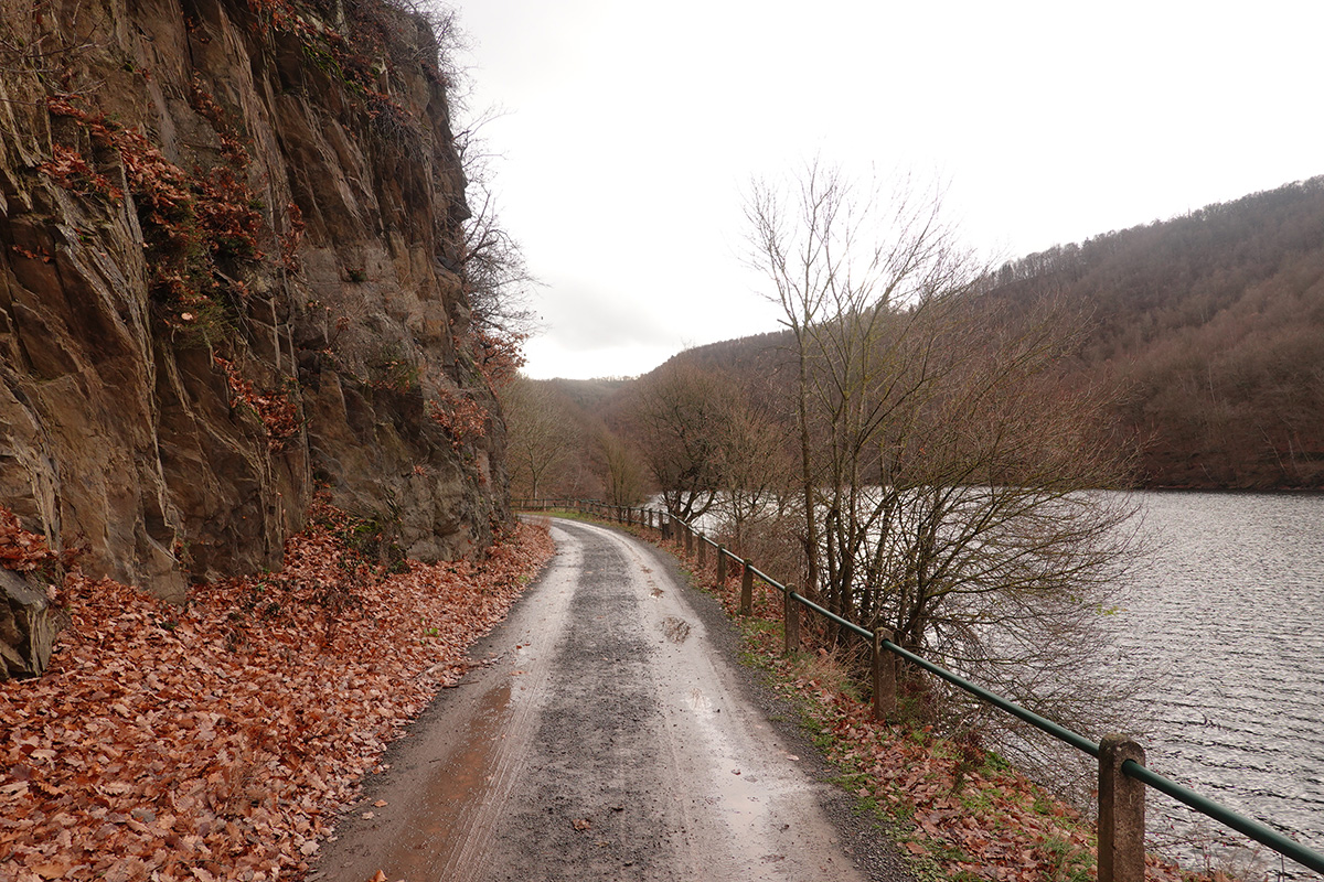 Mon voyage au Parc National de l'Eifel en Allemagne