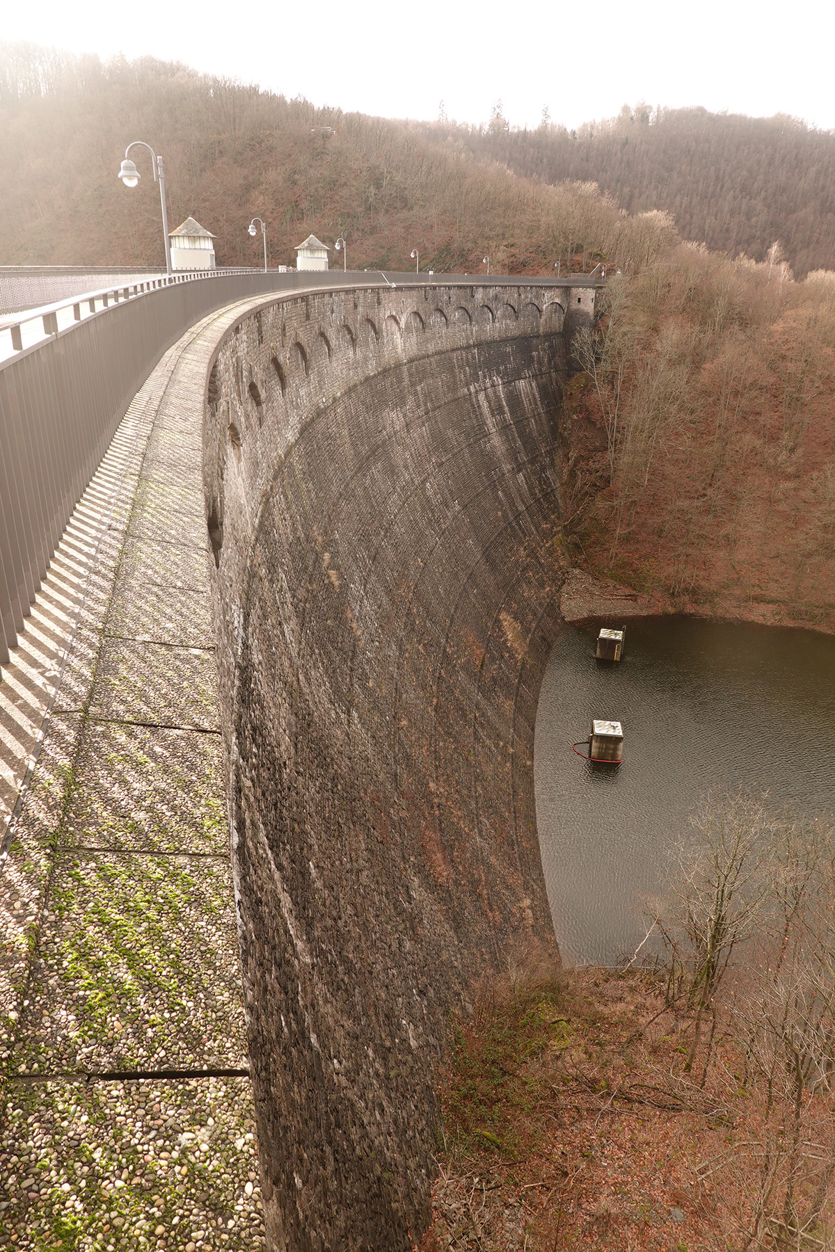 Mon voyage au Parc National de l'Eifel en Allemagne