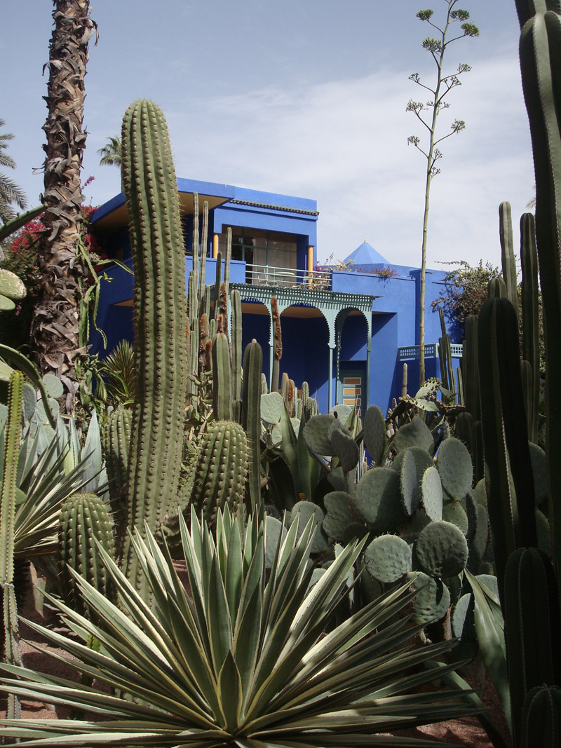 Mon voyage au Maroc: Le Jardins de Majorelles à Marrakech