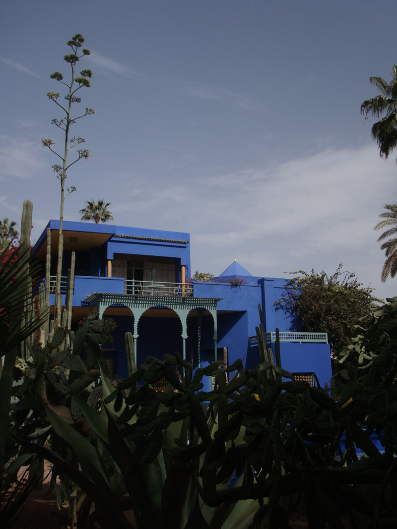 Mon voyage au Maroc: Le Jardins de Majorelles à Marrakech