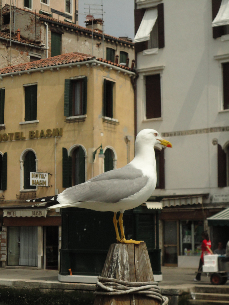 Mon voyage à Venise en Italie