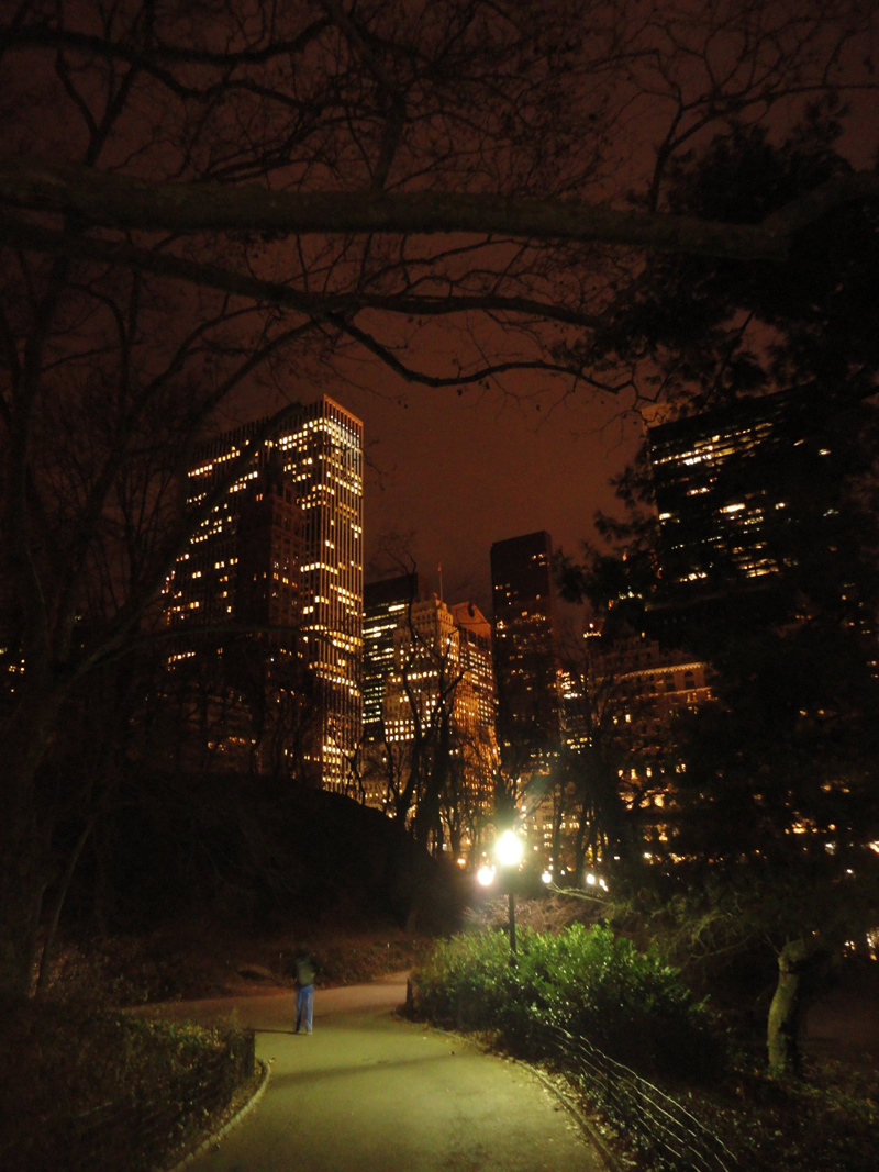 Mon voyage à New York à Central-park