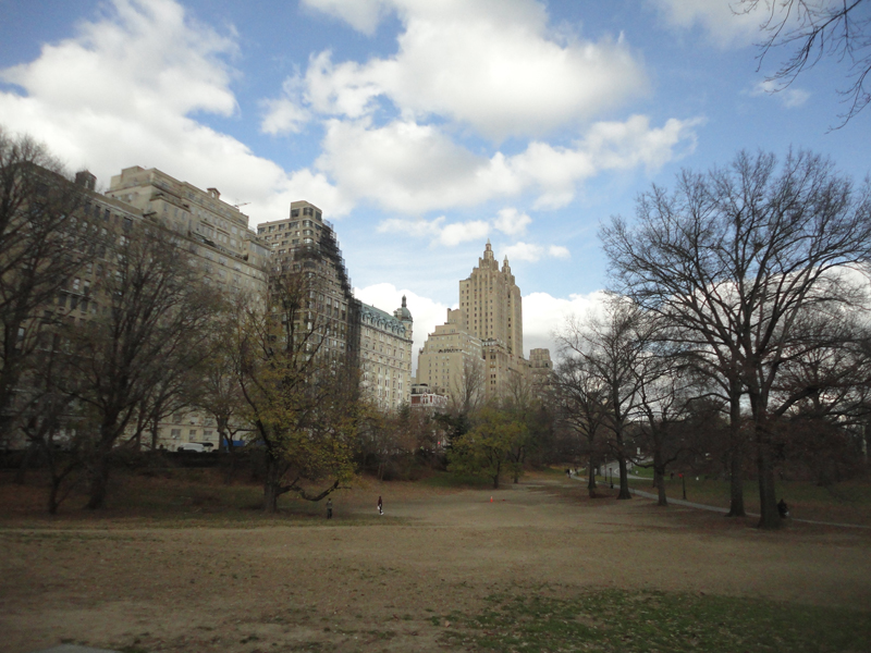 Mon voyage à New York à Central-park