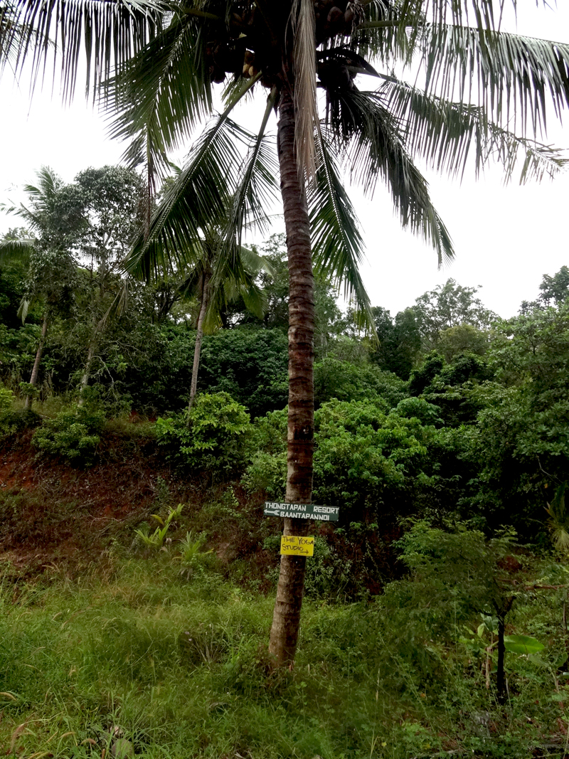 Mon voyage à Koh Phangan en Thaïland