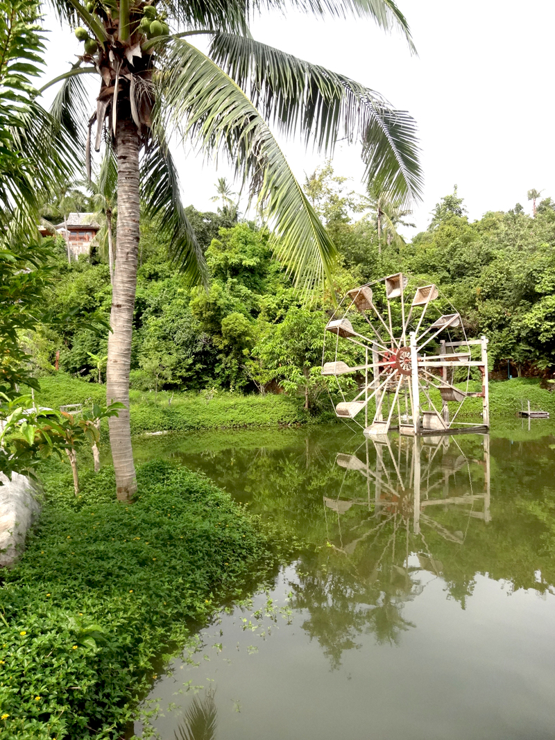 Mon voyage à Koh Phangan en Thaïland