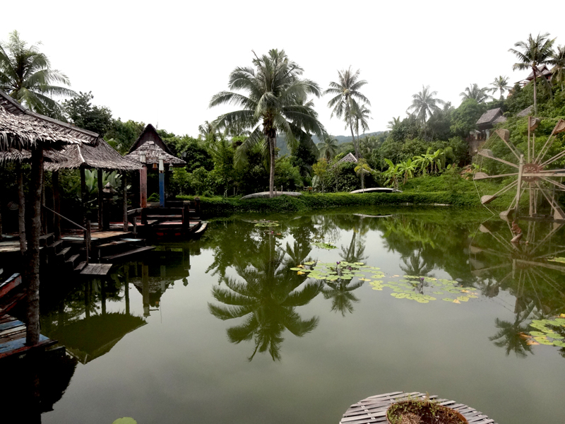 Mon voyage à Koh Phangan en Thaïland