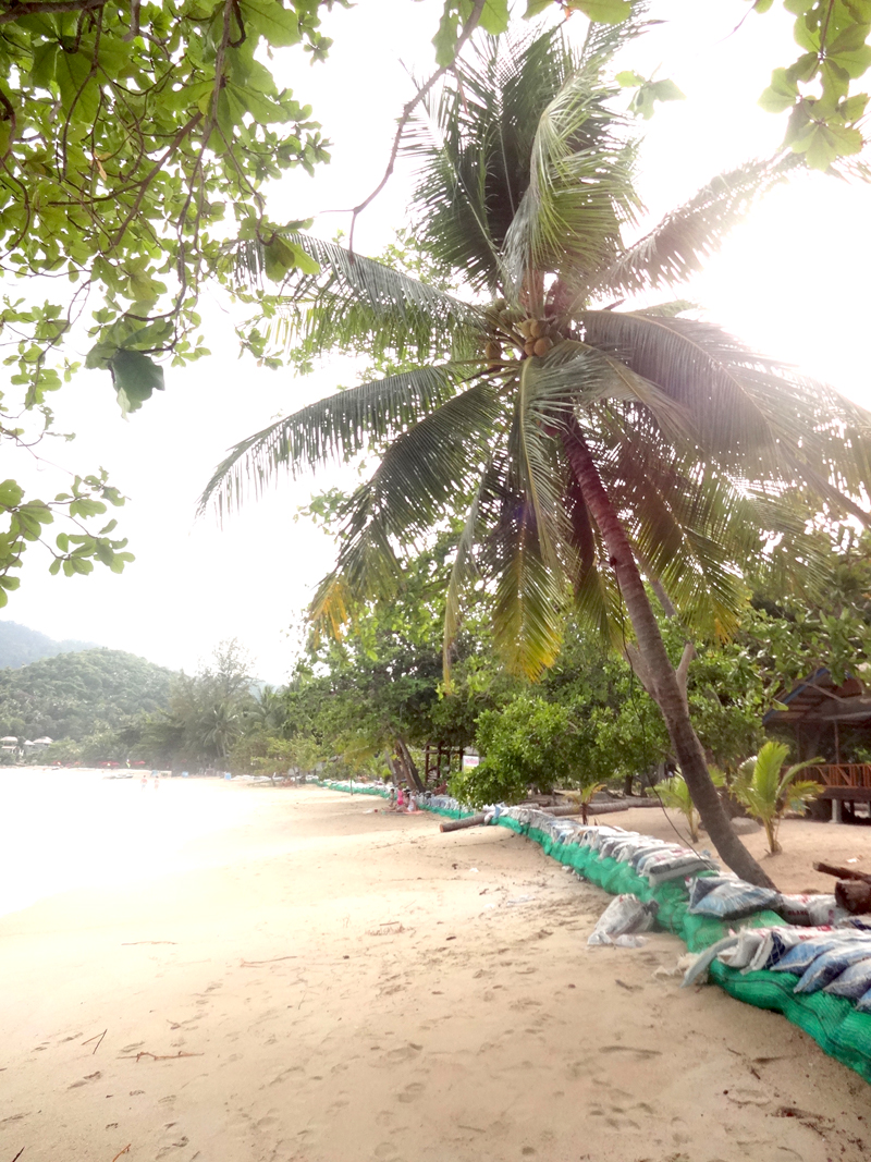 Mon voyage à Koh Phangan en Thaïland