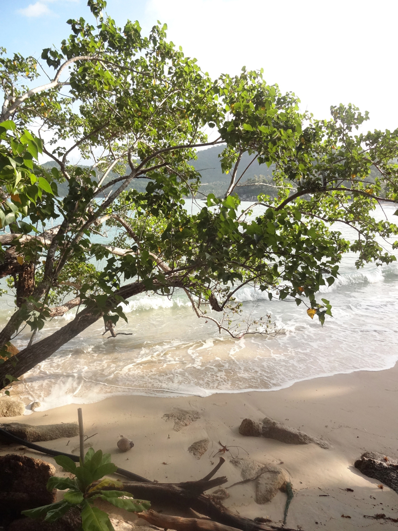 Mon voyage à Koh Phangan en Thaïland