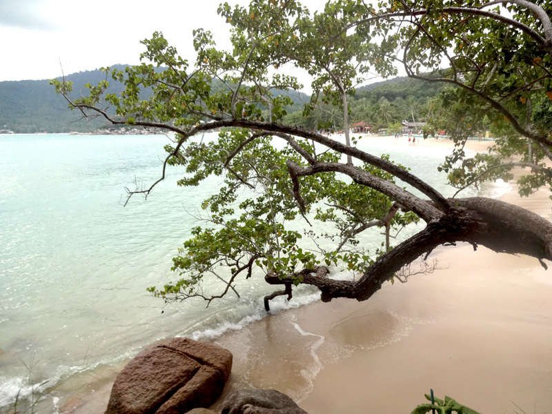 Mon voyage à Koh Phangan en Thaïland