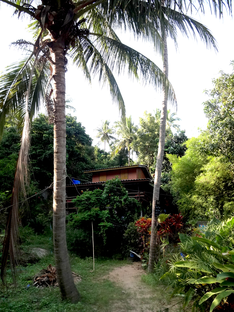 Mon voyage à Koh Phangan en Thaïland