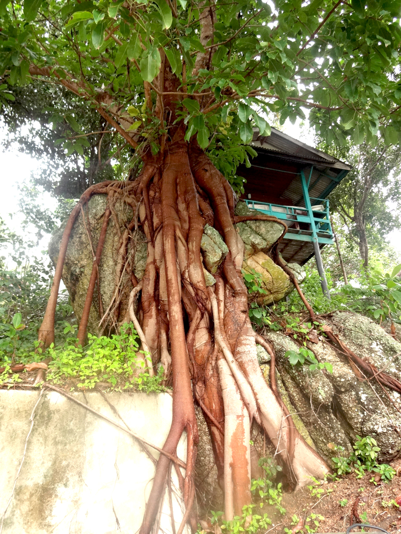 Mon voyage à Koh Phangan en Thaïland