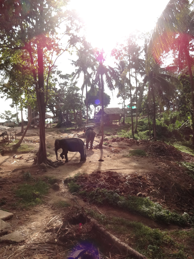 Mon voyage à Koh Phangan en Thaïlande
